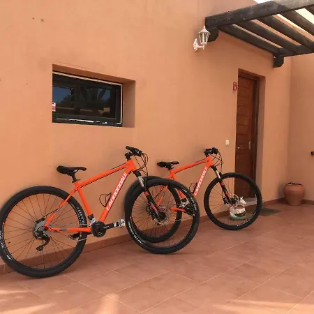 Cardon Big Calm 12 Costa Calma